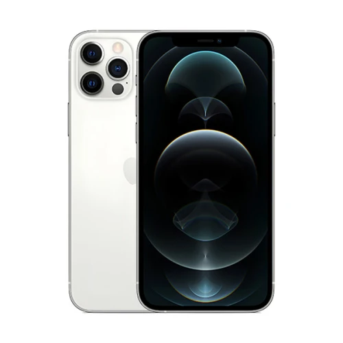 iPhone 12 Pro 256 Go Argent