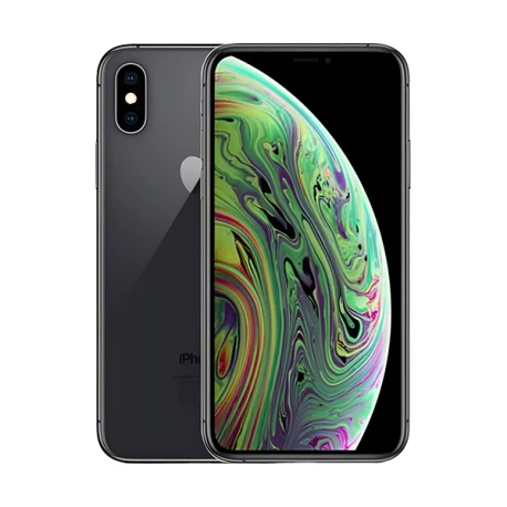 Apple iPhone XS Max 256 Go 6,5 pouces Gris sid&eacute;ral