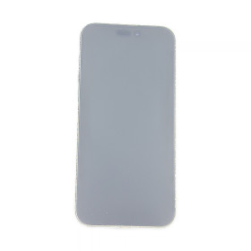 Foto dello schermo sovraesposta per evidenziare le imperfezion
